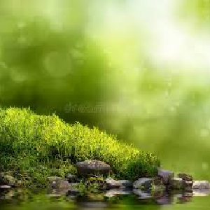 10europe 02 mediumSquareAt3X 300x300 (1)