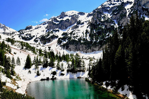 New Project 2025 11 18T173100.616