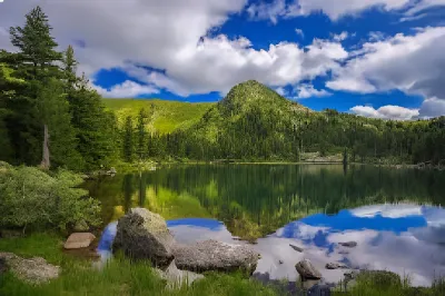 New-Project-2025-11-18T172839049-Picsart-AiImageEnhancer