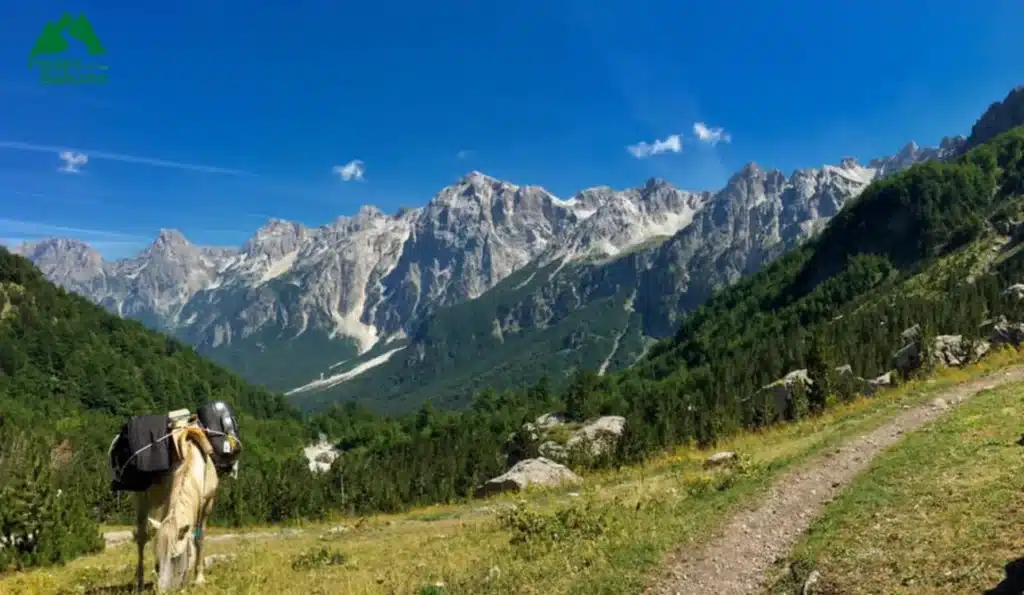 Cerem, Albanië: Een stille hoek van de Alpen die maar weinig mensen echt zien